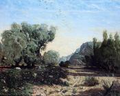 保罗 卡米尔 吉谷 : Olive Trees